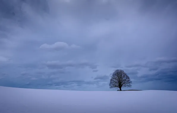 Зима, небо, облака, снег, дерево, Германия, Бавария