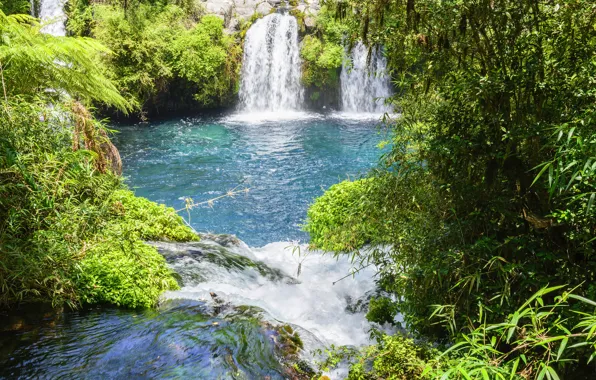 Зелень, солнце, камни, водопад, кусты, Чили, Conguillio National Park