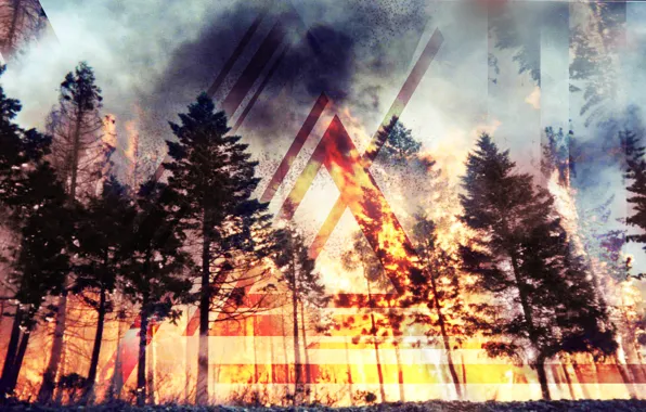 Лес, линии, пожар, огонь, fire, forest, треугольник, lines