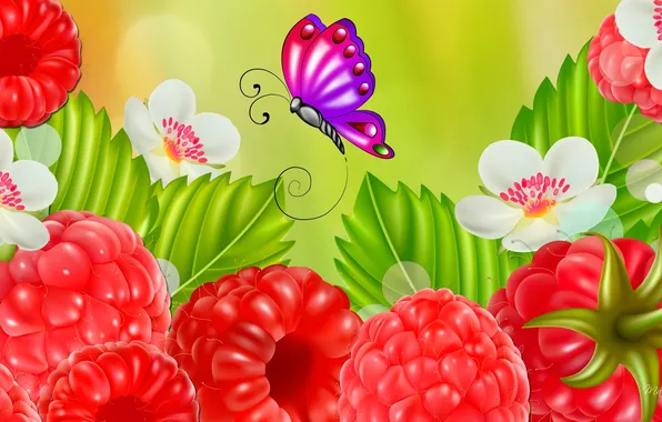 Картинка цветы, природа, ягоды, малина, коллаж, бабочка, открытка