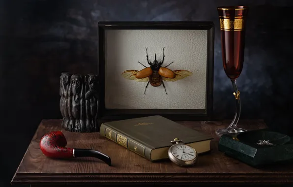 Beetle, painting, collection, books, technique, stuffed