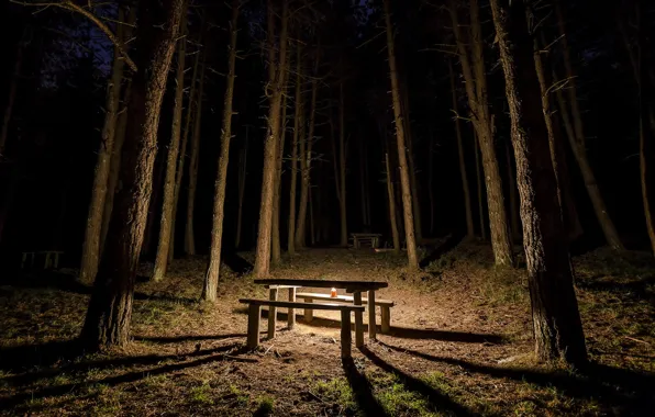 Лес, ночь, стол, свеча, скамья