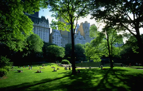 Парк, отдых, нью-йорк