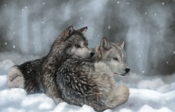 Картинка зима, снег, арт, волки, лежа