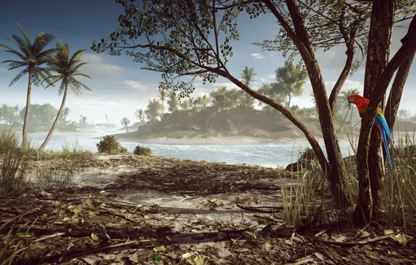 Пальмы, Попугай, Battlefield 4, Парасельские Острова, Paracel Storm