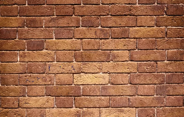Wall, pattern, Bricks