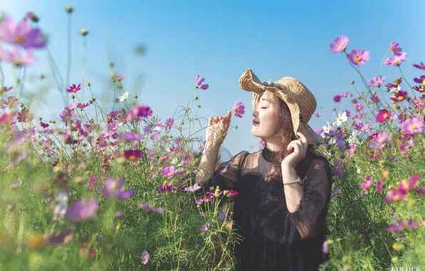 Girl, Flower, Smile, Spring, Summer, Happy, Field, Scent