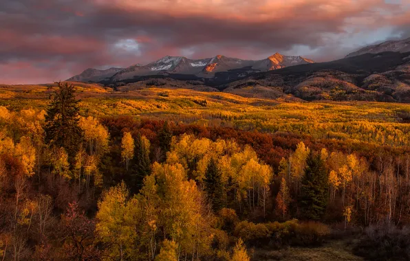 Осень, деревья, горы, Golden Glow