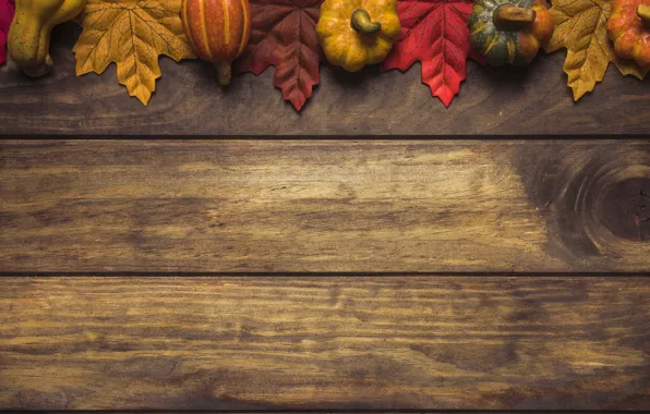 Картинка осень, листья, фон, дерево, colorful, тыква, доска, wood