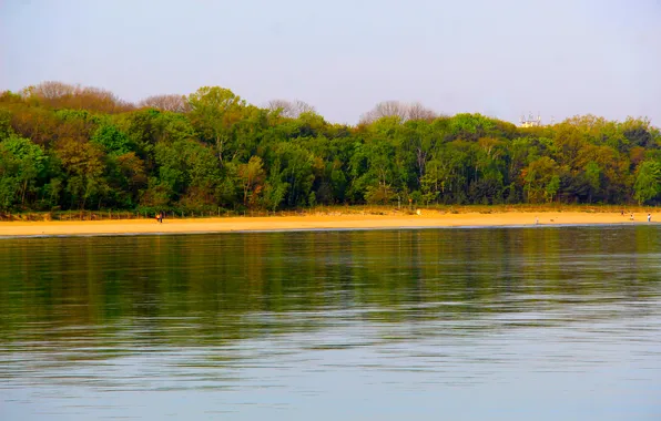 Beach, trees, sea, water