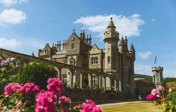Лето, цветы, замок, Шотландия, Scotland, Abbotsford house