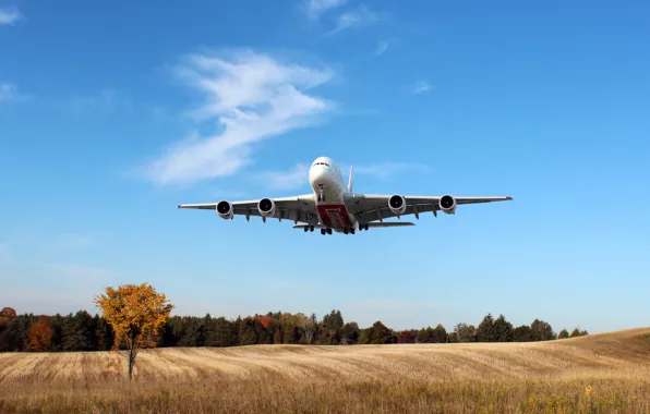 Картинка Небо, Поле, Белый, Самолет, Деревья, День, A380, Посадка