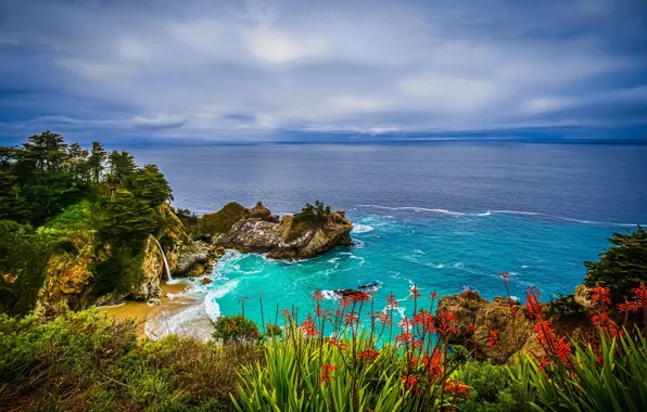 Цветы, океан, скалы, побережье, водопад, Калифорния, Pacific Ocean, California