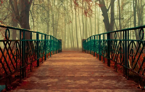 Картинка осень, листья, деревья, мост, природа, поручни
