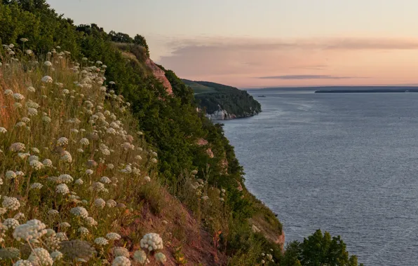 Картинка море, пейзаж, закат, природа, берег, побережье, травы