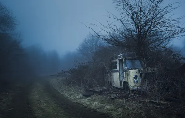 Дорога, туман, автобус