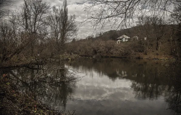 Лес, вода, природа, озеро, Домик