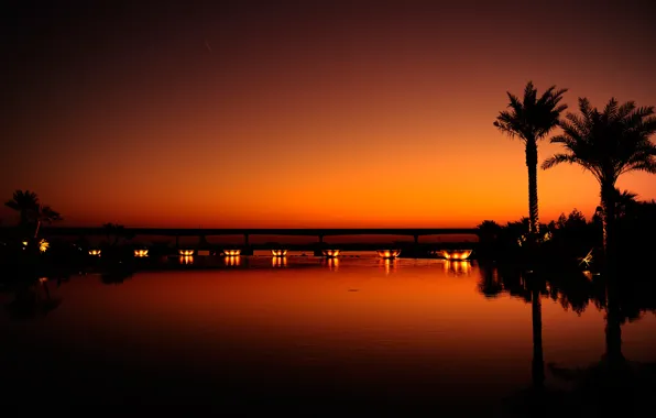 Картинка вода, свет, закат, ночь, оранжевый, город, отражение, пальмы