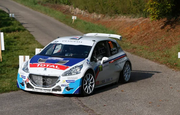 Трава, Поворот, Асфальт, Пежо, Peugeot, Rally, Ралли, 208