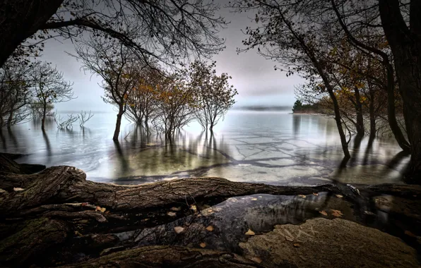 Картинка осень, вода, деревья, пейзаж, природа, туман, камни