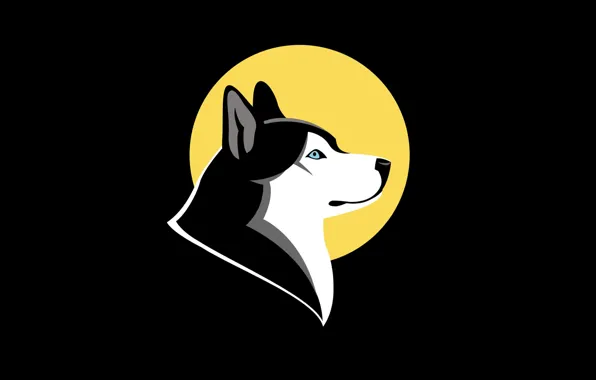 Собака, минимализм, husky, хаски. dog