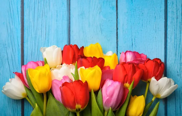 Цветы, colorful, тюльпаны, wood, flowers, tulips, spring