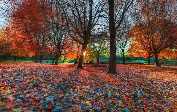 Картинка осень, листья, деревья, закат, скамейка, парк, речка, лучи солнца