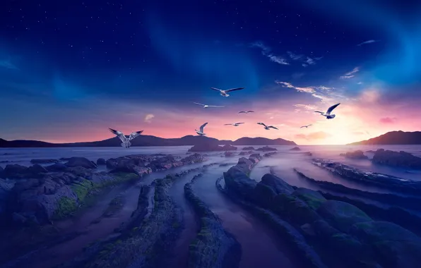 Море, небо, солнце, звезды, облака, свет, полет, пейзаж