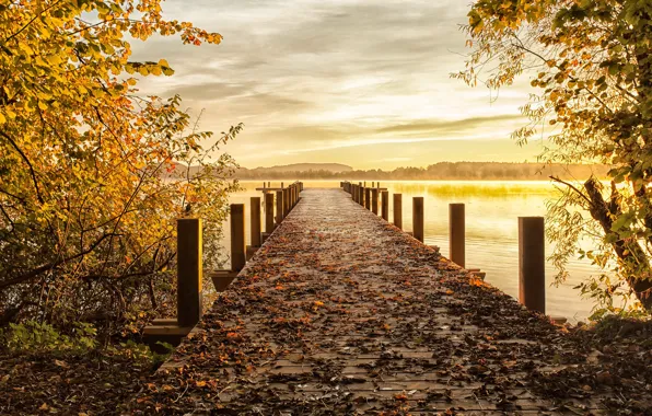 Картинка осень, мост, природа, озеро