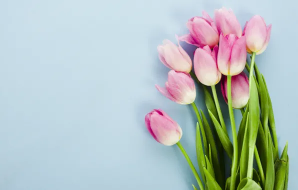 Картинка цветы, тюльпаны, розовые, pink, flowers, tulips, spring