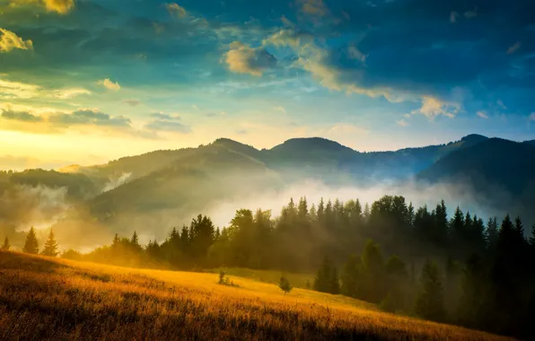 Картинка небо, облака, горы, туман, поля, Украина, леса, Карпаты