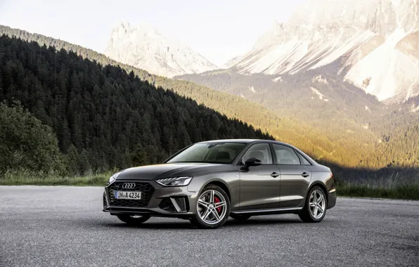 Лес, горы, Audi, склон, седан, Audi A4, 2019