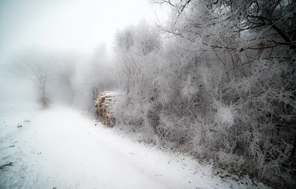 Картинка зима, иней, туман, дрова