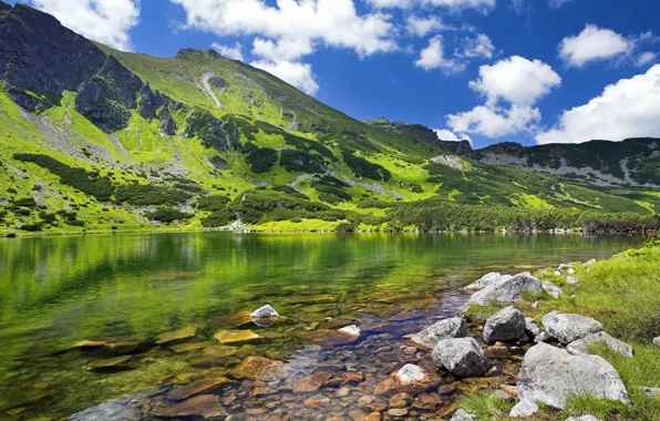Горы, Польша, горная речка