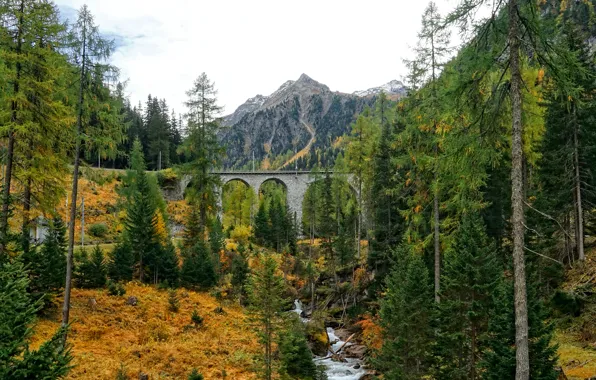 Картинка осень, лес, горы, мост, река, склон, арка
