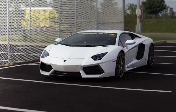 White, lamborghini, parking, aventador