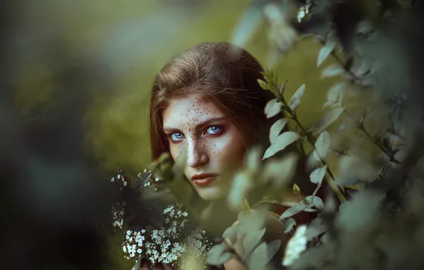 Картинка лето, глаза, взгляд, лицо, фон, волосы