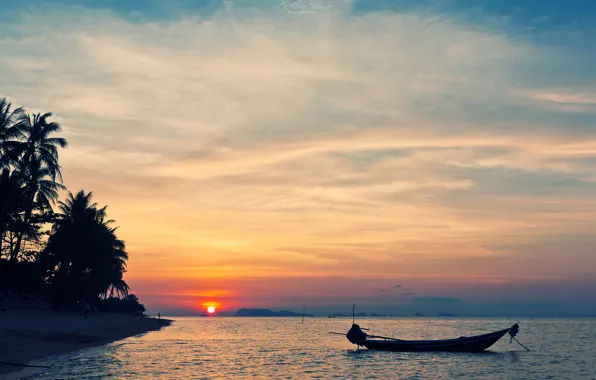 Картинка море, пляж, небо, солнце, закат, тропики, пальмы, берег