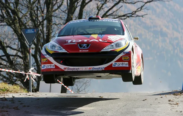 Пежо, Peugeot, ралли, Rally, IRC, 207, TOTAL, Пёжо