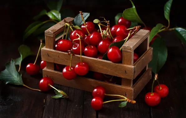Листья, капли, свет, вишня, ягоды, темный фон, доски, урожай