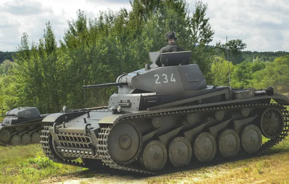 Panzerkampfwagen II, Pz.Kpfw. II, Antonis (rOEN911) Karidis, Нацистская Германия, немецкий лёгкий танк