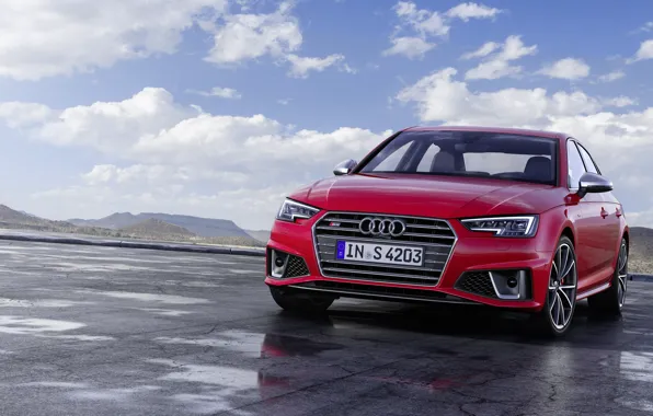 Audi, TDI, седан, Sedan, Audi S4, 2019