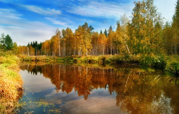 Осень, лес, вода, отражения, природа