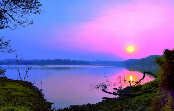 Sun, Water, Sunrise, Dawn, Morning, Lake, Trees, Reflection