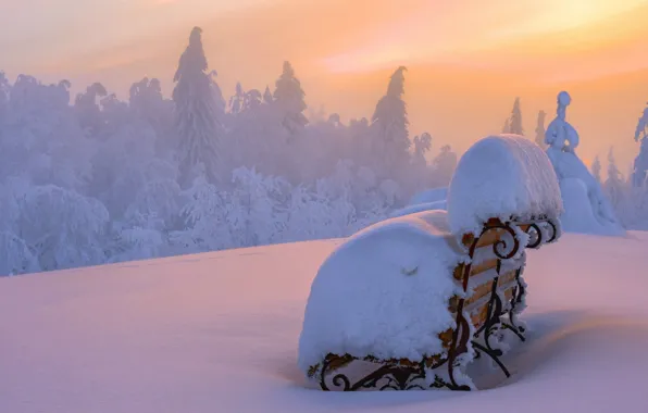 Лес, снег, закат, snow, Лавочка