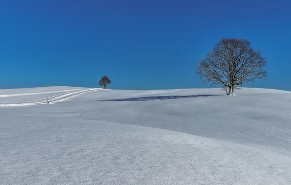 Картинка зима, дорога, снег, деревья, холмы, Германия, Бавария