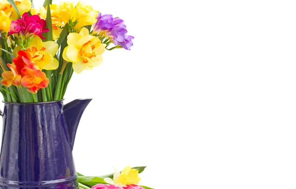 Colorful, flowers, нарциссы, spring, bouquet