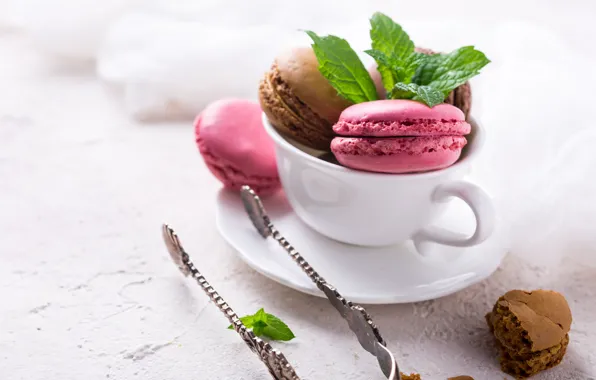Чашка, десерт, macaron, Iryna Melnyk