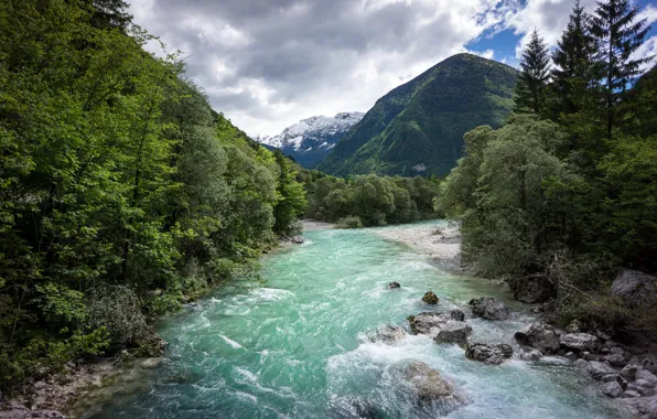 Картинка лес, горы, река, Словения, Национальный Парк Triglav