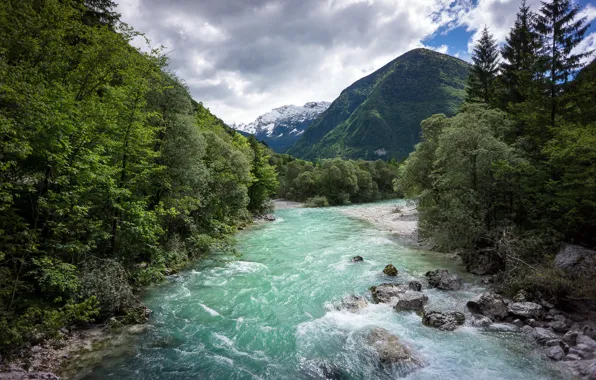 Лес, горы, река, Словения, Национальный Парк Triglav